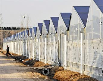 中國城市化進程以及新能源添加劑